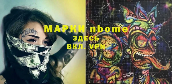 индика Бронницы